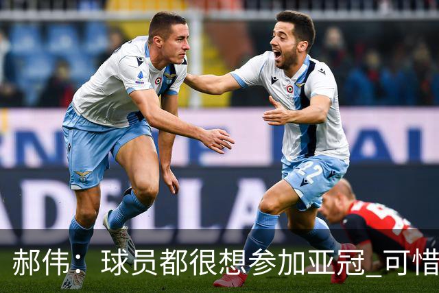 郝伟：球员都很想参加亚冠 可惜赛程跟联赛冲突